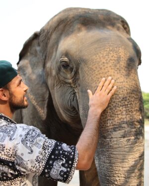 Yair Rodríguez Instagram - Camboya 🇰🇭 Angkor wat- Elephant Sanctuary 🐘