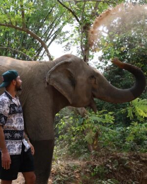Yair Rodríguez Instagram - Camboya 🇰🇭 Angkor wat- Elephant Sanctuary 🐘