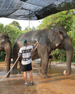 Yair Rodríguez Instagram - Camboya 🇰🇭 Angkor wat- Elephant Sanctuary 🐘