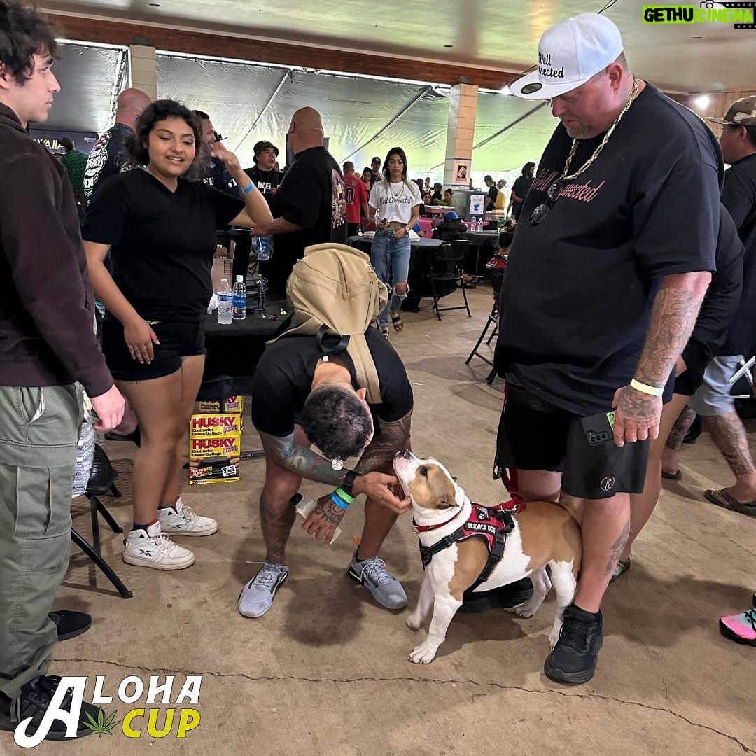 Yancy Medeiros - 582 Likes - āDear Yancy Medeiros,
We are very grateful for your gracious presence at the @alohacuphi event. Itās truly amazing how much your participation meant to us. šÆšš¼In a world where individuals of your stature often opt for detachment, your decision to embrace and support our canna community fills us with everlasting gratitude. Your warmth and generosity have left an indelible mark on us, and for that, we extend our heartfelt thanks.
With profound appreciation,
Aloha Cup and Hawaii Cannabis Expo Team
See you again soon Champ and all the best to your fight on June 22! šØšØšØ