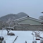 Yang Han-yeol
