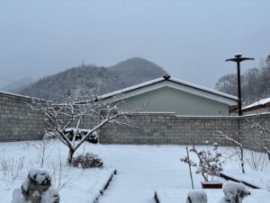 Yang Han-yeol Instagram - 엄청왔넴❄️❄️