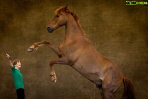 Yann Arthus-Bertrand Instagram - Je remercie le @harasdelacense et @lacensefondsdotation de m’avoir invité à installer mon studio photo le week-end dernier. Je vous invite à suivre leurs réseaux, et leur rendre visite pour découvrir leur méthode unique dans le monde.

Durant ces deux jours, j’ai pu photographier des chevaux hors du commun et capturer la relation extraordinaire que nous entretenons avec ces animaux nobles et majestueux.