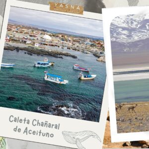 Yasna Provoste Instagram - En este Día Mundial del Medio Ambiente, reflexionemos sobre la importancia de cuidar nuestro planeta y comprendamos que su protección es responsabilidad de todos, sin excepción 🌱. 

Nuestra región de Atacama es un tesoro de biodiversidad y belleza natural, pero también enfrenta desafíos significativos como la escasez de agua del cual no estamos ajenas. Desde sus majestuosos paisajes hasta cada rincón del mundo, nuestro entorno natural necesita de nuestro compromiso y acciones concretas 🌎✨