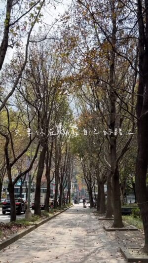 Yeh Ching Han Instagram - 我們要在安靜中，不慌不忙地剛強。