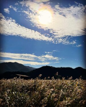 Yeon Jeong-hun Instagram - 