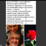 Yeşim Gül Akşar