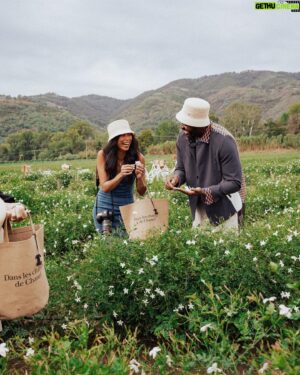 Yinka Ilori Instagram - Had such a wonderful time with the  @chanel.beauty team discovering the Jasmine Harvest process from flower to fragrance and meeting the legendary nose of CHANEL Olivier Polge 🌼🌼 📸 @rowben_ #chanelfragrance, #dansleschampsdechanel  @chanel.beauty