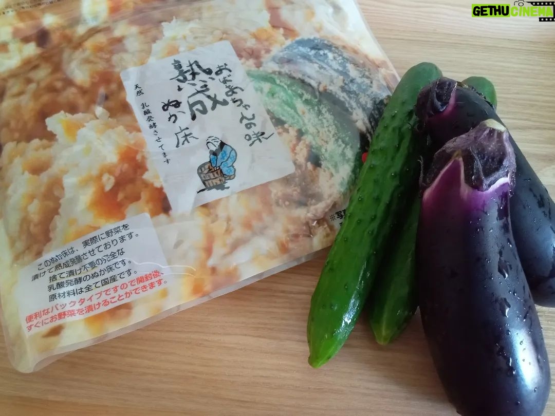 Yoko Mitsuya - 3 Likes - ぬか漬け はじめました🍆🥒
なんて美味しいの!
美味しいだけでなく
健康にも美容にも良いとのこと☝✨
ぬか床ちゃん。
これから大切に育てていきます。
うま〜🤤