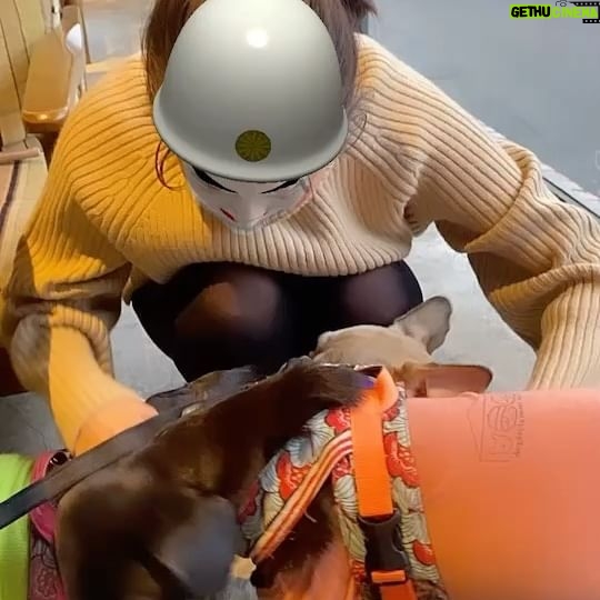 Yoko Mitsuya - 1.5K Likes - 先日
やっとマキちゃまの愛娘達に会えました🐶
みーんな性格が良くて、人懐っこい。
可愛い可愛い可愛い🥹🫶🏻💕
ストーリーでは三姉妹みんな保護っ子ちゃんと言ってしまったのですが、、
小春は譲渡犬でココワカメちゃんとぶーちゃんが保護っ子でした☺️
マキちゃまは@wolf_lady_を立ち上げて
可愛い保護動物達をもっと身近に感じてもらえるような、スタイリッシュで素敵なイベントを企画・開催しているんです🥹👍
そのほかでも、さまざまなカタチでわんちゃんの支援を行っています🐶
素晴らしいですね😭
また近々、三姉妹とマキちゃまに会いに行こう♡♡♡
