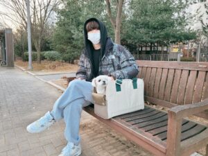 Yoo Jun Instagram - 우리콩이🕶

#강아지이동가방 #강아지용품 #프리미엄이동가방 #강아지용품 #이동가방추천#밀리옹 #협찬
