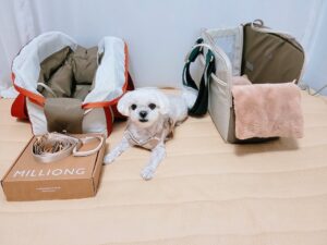 Yoo Jun Instagram - 우리콩이🕶

#강아지이동가방 #강아지용품 #프리미엄이동가방 #강아지용품 #이동가방추천#밀리옹 #협찬