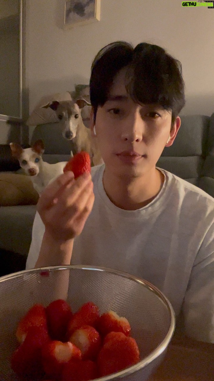 Yoon Park - 61.3K Likes - -
딸기가 맛있네🍓
