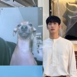 Yoon Park