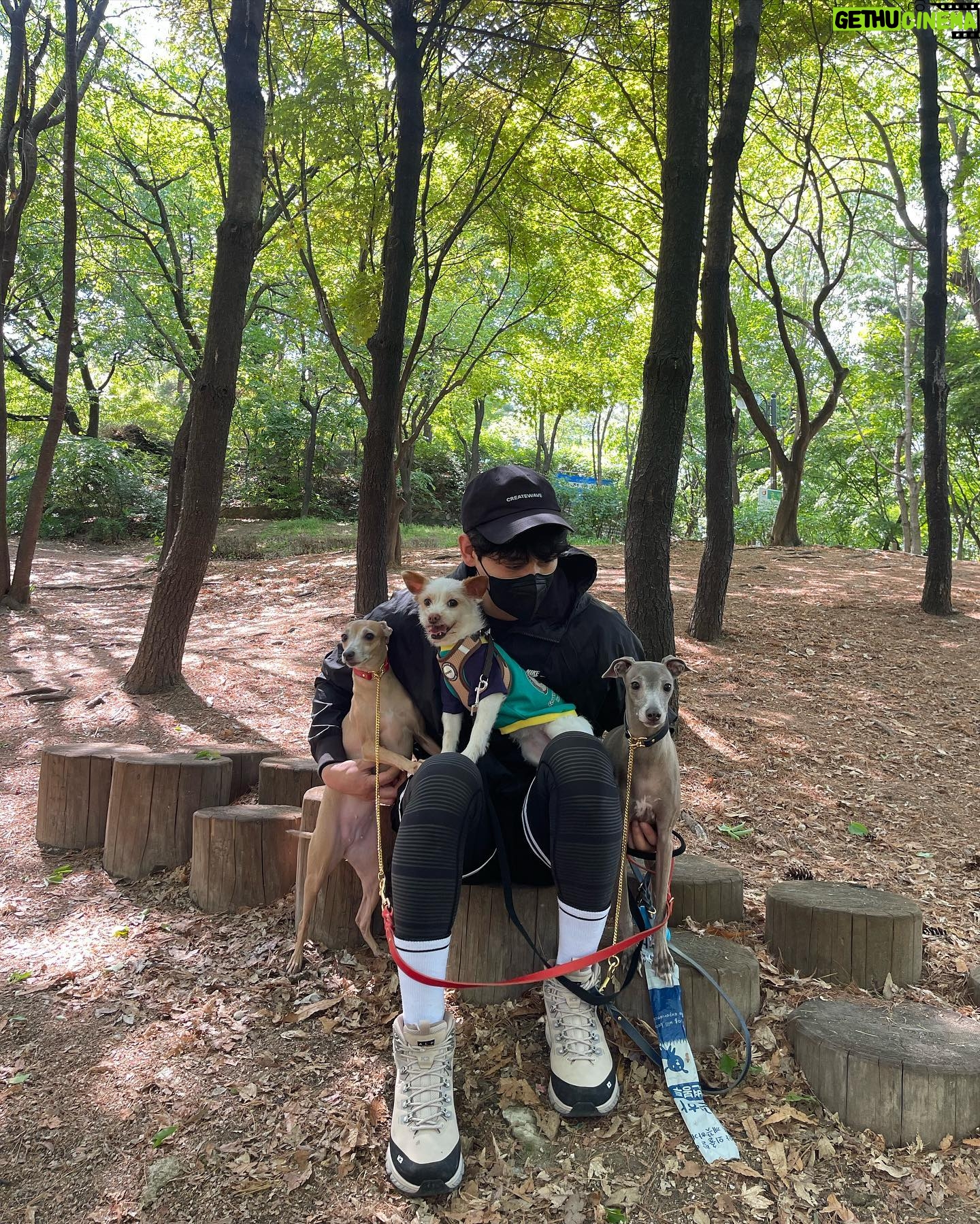 Yoon Park - 38K Likes - -
안녕하세요.
경기도수의사회 #사회공헌 캠페인
#세이브어스챌린지 홍보대사를 맡게된
윤박 입니다.
사회적으로 소외되고 심장사상충으로 고통받는 유기견들이 참 많습니다.
이 작은 챌린지 하나하나가 조금씩 모여
여러 유기견들에게 큰 힘이 되길 바랍니다.
-
소중한 챌린지를 함께 하실 다음 분으로는
신현준 선배님 @_shinhyunjoon_
보라님 @borabora_sugar
조권님 @kwon_jo
입니다. 감사합니다.
✅세이브어스챌린지 참여 방법✅
1⃣사진촬영 📸
#반려동물 을 따뜻하게 안아주는 사진
또는 오른쪽 손으로 #심장 에 손을 얹는 사진
2⃣챌린지를 함께할 친구 3명 태그 👨 👩 👧
3명이상 태그하셔도 괜찮습니다 :)
(ex. @save_us_challenge )
3⃣해시태그와 함께 업로드!🎶
#유기견 #심장사상충 #세이브어스챌린지
#경기도수의사회 #한국조에티스 #블루엔젤봉사단
여러분의 포스팅 1건으로
더 많은 유기견들을 구해낼 수 있습니다.🤍