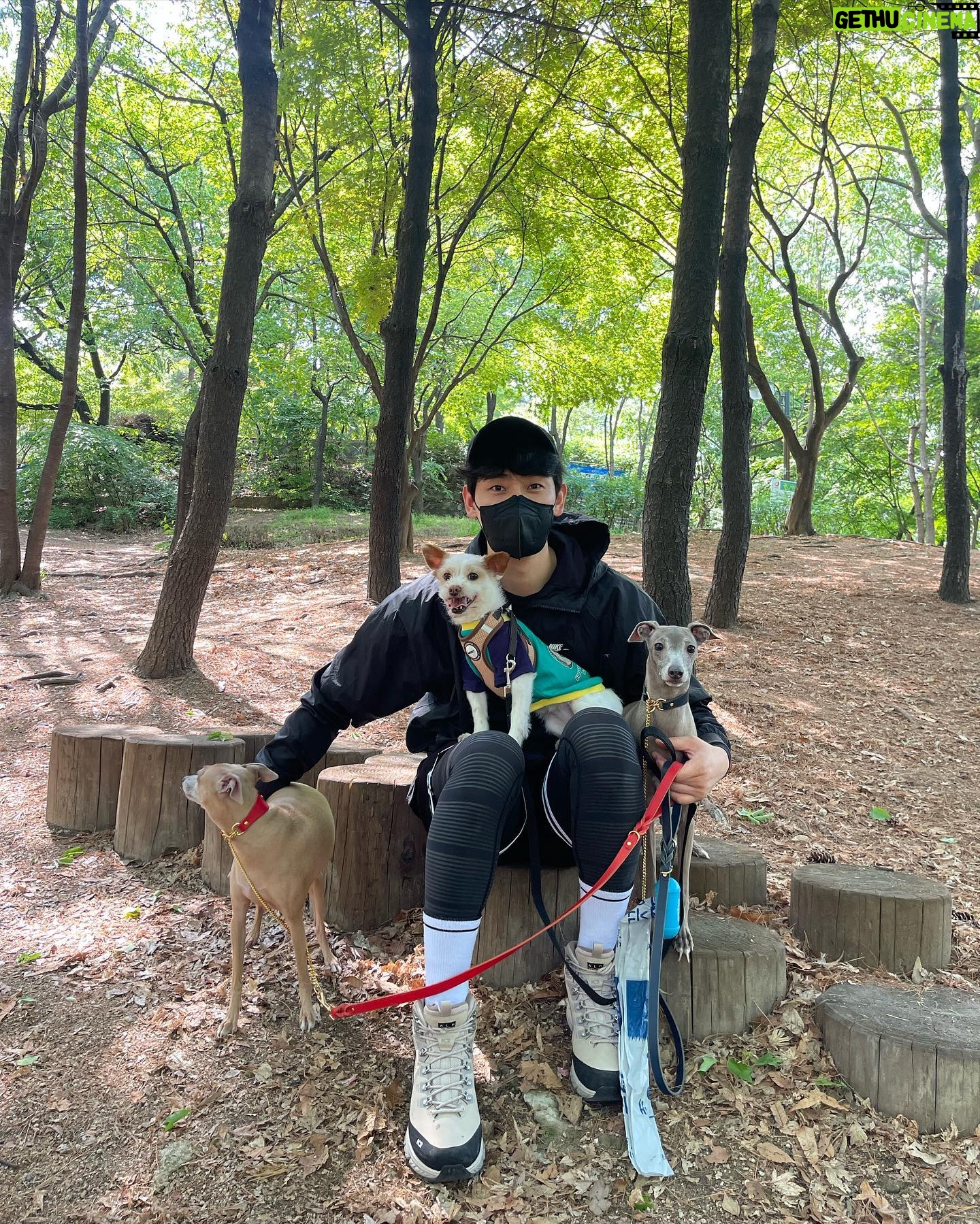 Yoon Park - 38K Likes - -
안녕하세요.
경기도수의사회 #사회공헌 캠페인
#세이브어스챌린지 홍보대사를 맡게된
윤박 입니다.
사회적으로 소외되고 심장사상충으로 고통받는 유기견들이 참 많습니다.
이 작은 챌린지 하나하나가 조금씩 모여
여러 유기견들에게 큰 힘이 되길 바랍니다.
-
소중한 챌린지를 함께 하실 다음 분으로는
신현준 선배님 @_shinhyunjoon_
보라님 @borabora_sugar
조권님 @kwon_jo
입니다. 감사합니다.
✅세이브어스챌린지 참여 방법✅
1⃣사진촬영 📸
#반려동물 을 따뜻하게 안아주는 사진
또는 오른쪽 손으로 #심장 에 손을 얹는 사진
2⃣챌린지를 함께할 친구 3명 태그 👨 👩 👧
3명이상 태그하셔도 괜찮습니다 :)
(ex. @save_us_challenge )
3⃣해시태그와 함께 업로드!🎶
#유기견 #심장사상충 #세이브어스챌린지
#경기도수의사회 #한국조에티스 #블루엔젤봉사단
여러분의 포스팅 1건으로
더 많은 유기견들을 구해낼 수 있습니다.🤍