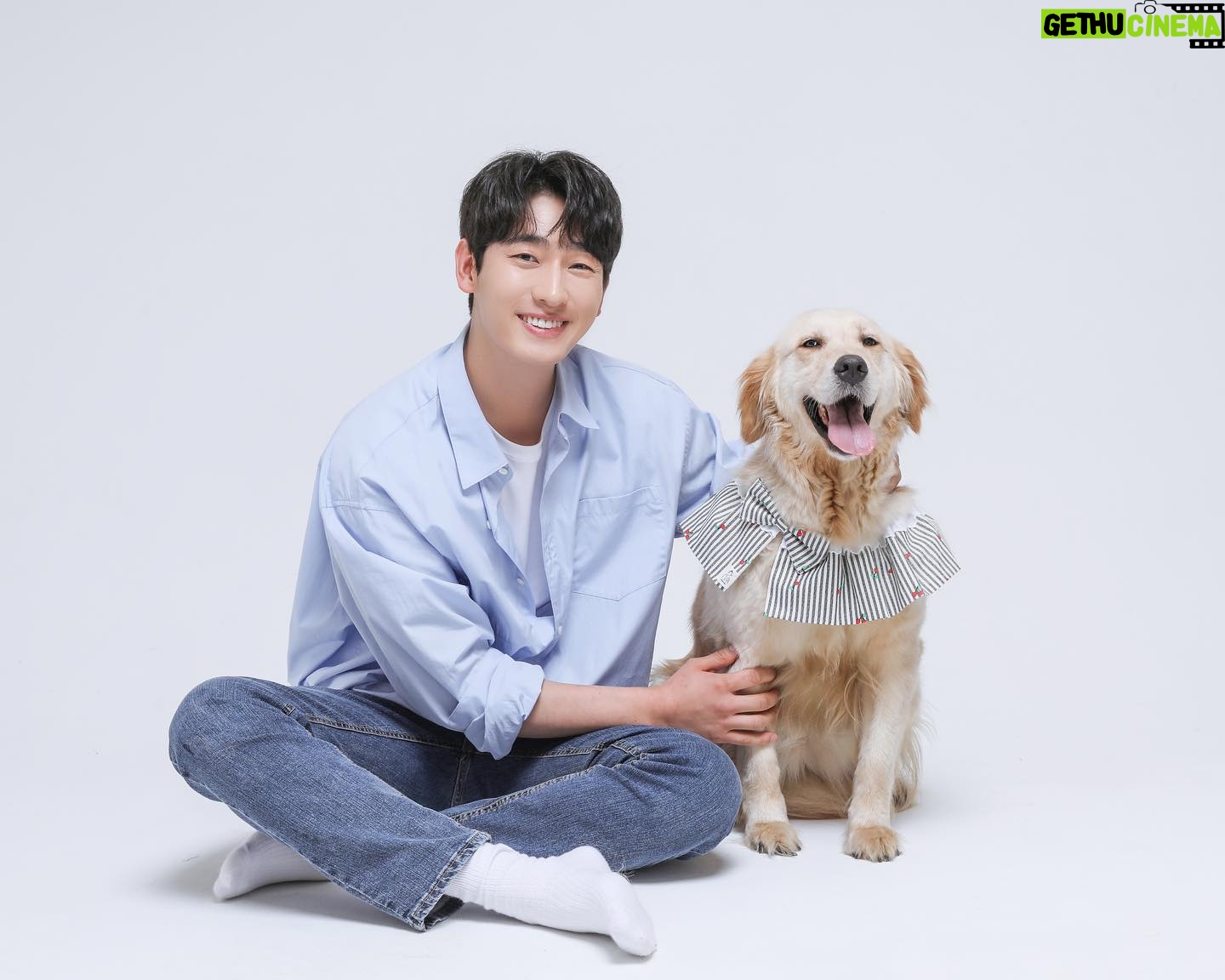 Yoon Park - 37.5K Likes - -
너무 예쁘고 착한 미양이와
2023년 #안성평강공주보호소 #후원캘린더
촬영을 하고 왔어요.
미양이와 함께 행복하고 건강하게 지낼
평생가족을 기다립니다😊
-
#후원캘린더 #유기동물보호소후원 #유기동물치료비후원
#안성평강공주보호소 #유기견입양 #미양이
#세이브어스챌린지 #saveuschallenge