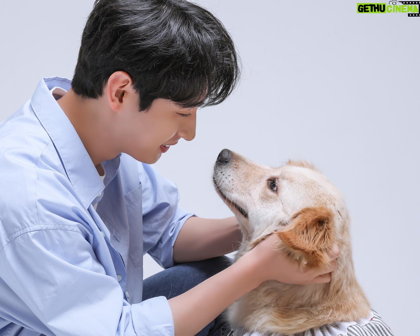 Yoon Park - 37.5K Likes - -
너무 예쁘고 착한 미양이와
2023년 #안성평강공주보호소 #후원캘린더
촬영을 하고 왔어요.
미양이와 함께 행복하고 건강하게 지낼
평생가족을 기다립니다😊
-
#후원캘린더 #유기동물보호소후원 #유기동물치료비후원
#안성평강공주보호소 #유기견입양 #미양이
#세이브어스챌린지 #saveuschallenge