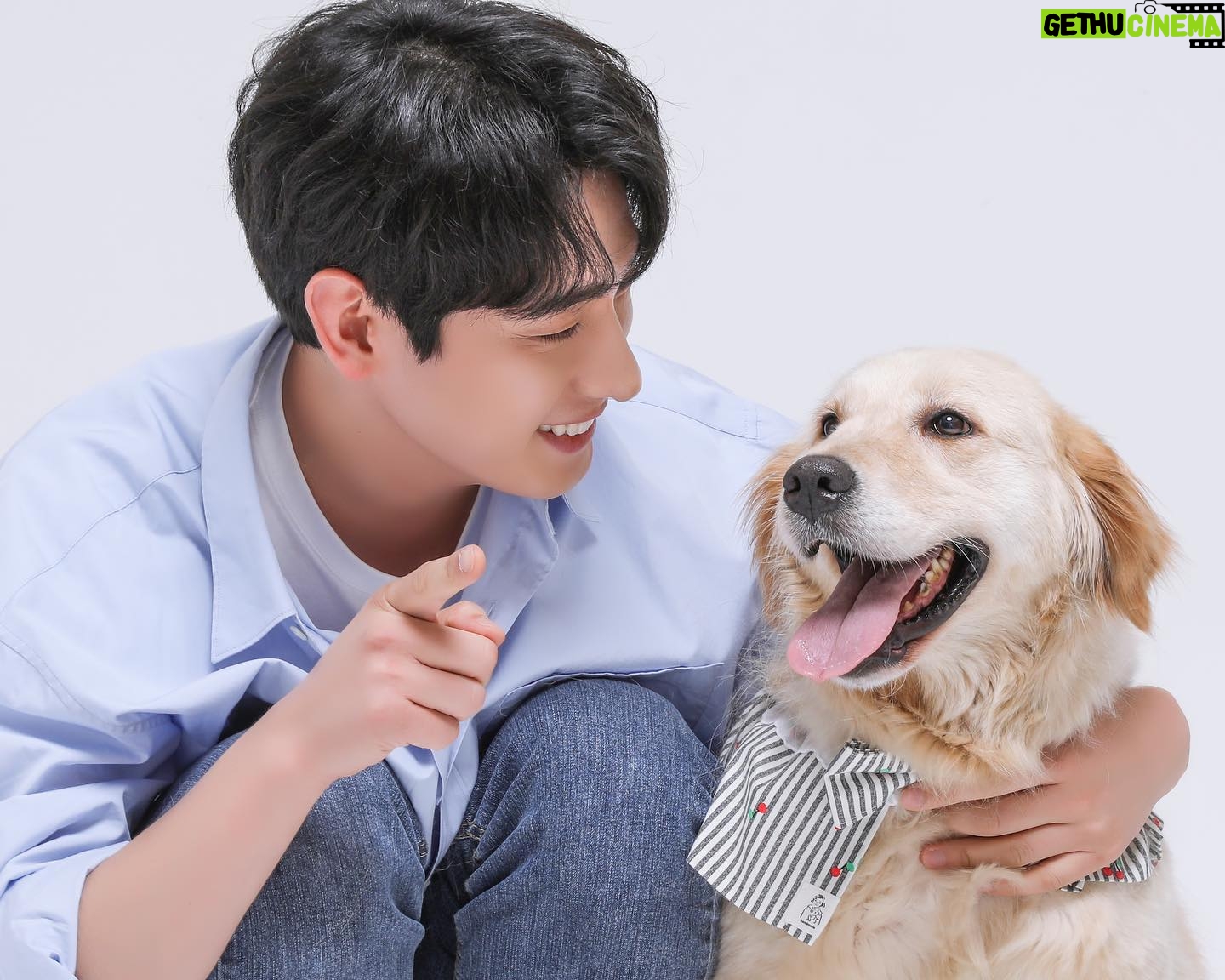 Yoon Park - 37.5K Likes - -
너무 예쁘고 착한 미양이와
2023년 #안성평강공주보호소 #후원캘린더
촬영을 하고 왔어요.
미양이와 함께 행복하고 건강하게 지낼
평생가족을 기다립니다😊
-
#후원캘린더 #유기동물보호소후원 #유기동물치료비후원
#안성평강공주보호소 #유기견입양 #미양이
#세이브어스챌린지 #saveuschallenge