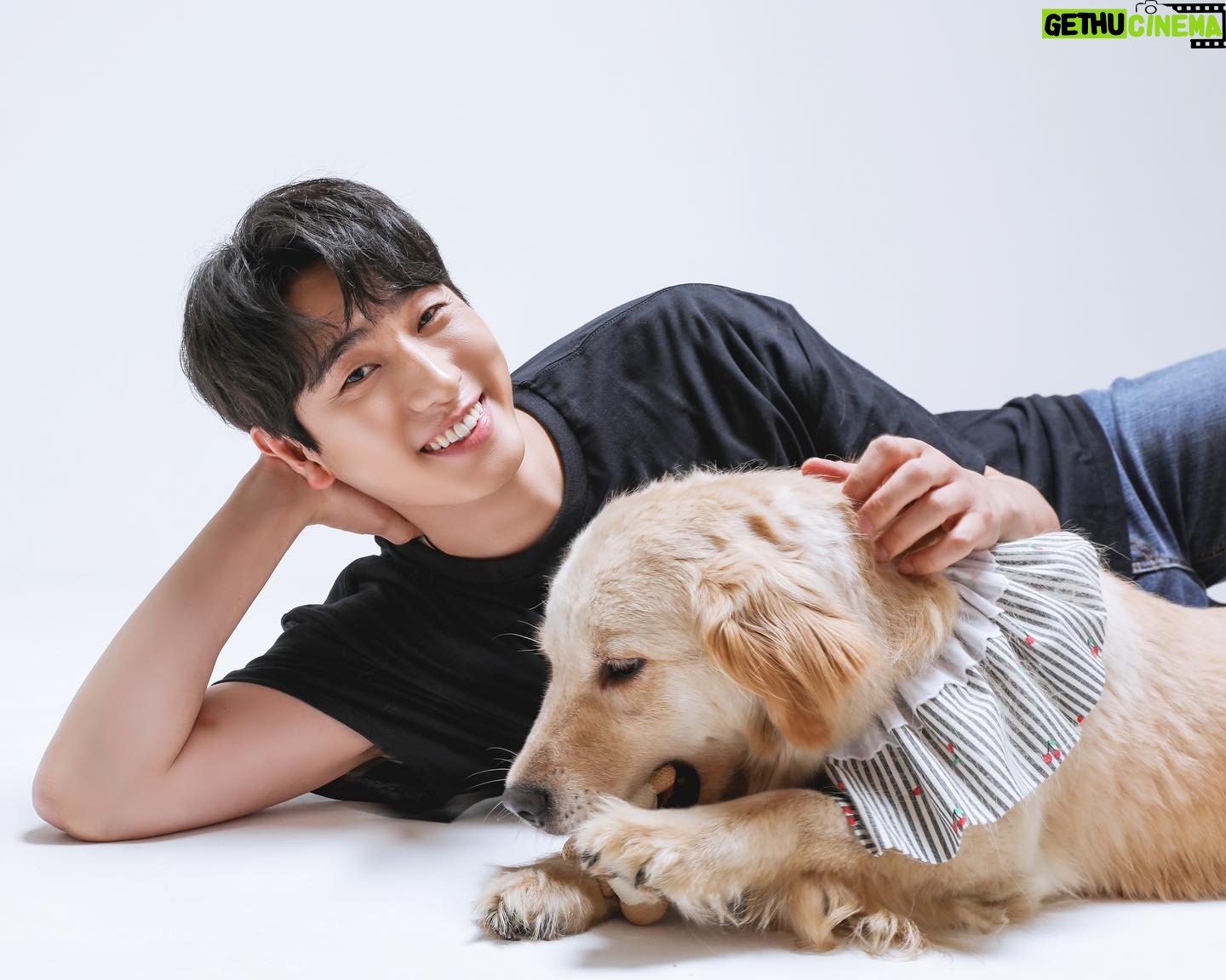 Yoon Park - 37.5K Likes - -
너무 예쁘고 착한 미양이와
2023년 #안성평강공주보호소 #후원캘린더
촬영을 하고 왔어요.
미양이와 함께 행복하고 건강하게 지낼
평생가족을 기다립니다😊
-
#후원캘린더 #유기동물보호소후원 #유기동물치료비후원
#안성평강공주보호소 #유기견입양 #미양이
#세이브어스챌린지 #saveuschallenge