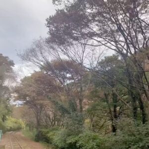 Yoshito Okubo Instagram - 水バラ
冬の北関東！
美食と名湯をめぐる２７０ｋｍ
ぐるり一周対決旅　群馬＆栃木

2連覇中のチーム春日に
アスリート3人が
チーム日本代表を組んで
挑戦しました👊

三者三様の個性的なチームで
最初はどうなることやら…と
思っていたら
めちゃくちゃ走って、食べて、
温泉入って
とても面白い展開になりました😆

テレビ東京
12月13日(水) 18:25〜

お時間ある方は
ぜひ観てくださいね～😉

#大久保嘉人
#西岡剛
#吉田沙保里