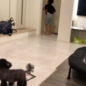 Yoshito Okubo Instagram - 緑二（次男）が小学3年生くらいの時の動画が出てきた！

言うことが、めちゃオモロイ！笑

#yoshito13