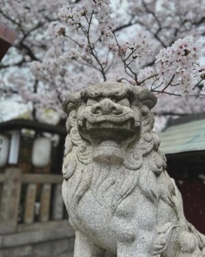 Yosuke Kubozuka Instagram - ずっと自宅に飾りたかった
草場一壽さんの陶彩画、
「時は今」が、
昨日のお釈迦さまの誕生日に納まり、
明けて今日、宝娘の入学式🌸

生憎の雨だが、
ものは考えよう。
「浄めの雨」、「恵みの雨」、「慈雨」と思えばまた一興☻

今日も新たな時代の希望に満ちて✨