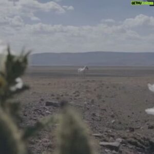 Young Mazino Instagram - a desert in new mexico