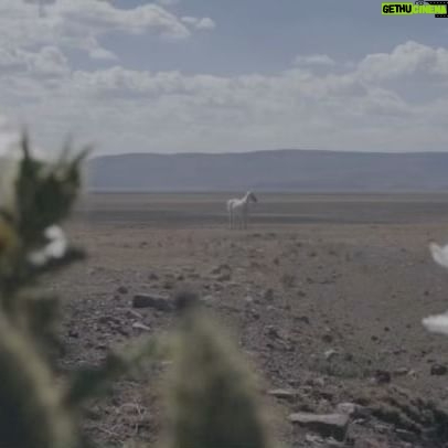 Young Mazino - 0.9K Likes - a desert in new mexico