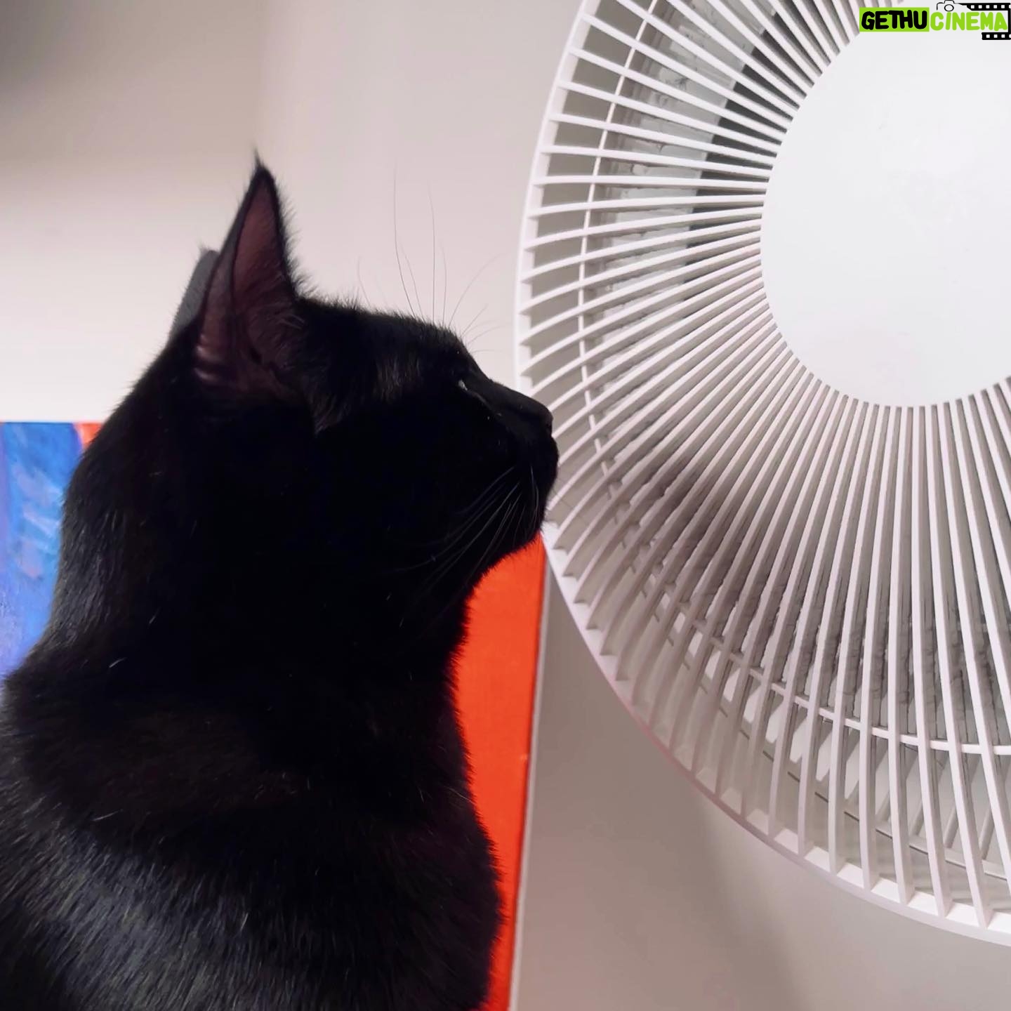 Yu Jin - 5.2K Likes - 23年的夏天,一起靠電風扇活下來☀️