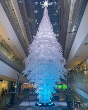 Yuki Terada Instagram - メリークリスマスイブ🎄🎅✨

ハッピーなムードに包まれつつも、
もうあと数日で今年が終わってしまう焦りとか、
仕事がどんどん収まっていく達成感や不安やら。

超現実も同時に感じるのがクリスマスですよね🎄🤣

寺田は、
打ち合わせ系などちょこちょこ残っておりますが、
現場的な意味では仕事を納めました☺️☺️

変化の年だったなあと、改めて。

この変化を未来への大きな原動力にできるよう、
来年もしっかり、着実に。
歩んでいきたいと思います。

そのためにも、
しっかり休んで英気を養います🙌✨

表参道ヒルズのツリーがカッコよかった🎄

仲良し友だちとランチに行ったら、
サプライズお祝いしてくれたのでした☺️🍴✨

みんな、ありがとう☺️☺️

#表参道ヒルズ #ランチ
#仕事納め #フリーランス女子 #寺田有希 #teradayuki