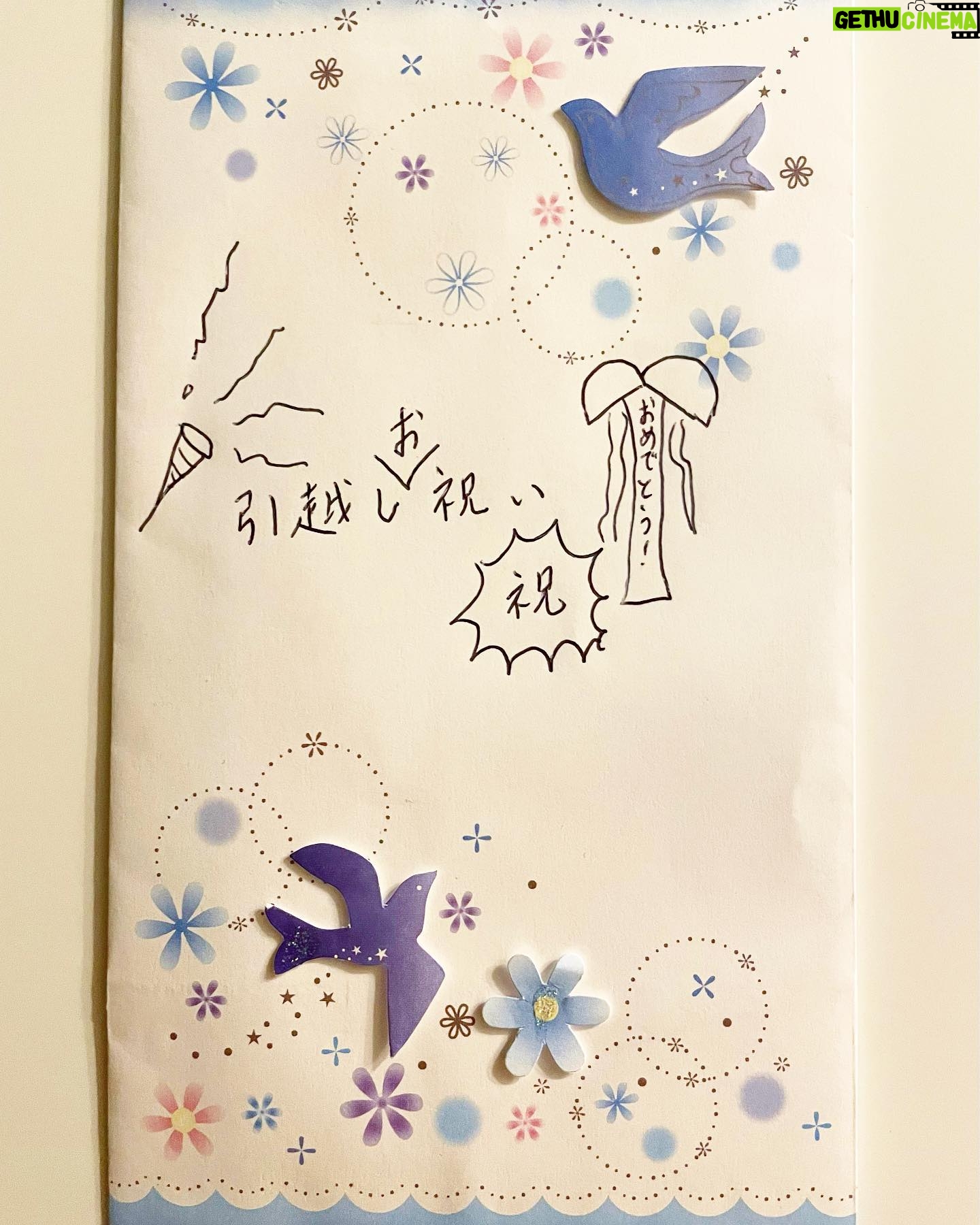 Yukiko Shinohara - 1.7K Likes - マネージャーの独り言です🌵完っ全に私事なのですが、最近引っ越しました。するとなんということでしょう。篠原からサプライズ引っ越し(お)祝いをいただきました。とっても可愛いベビーバオバブさん🌳と、30万ドルはゆうに入ってるであろう分厚い封筒…。”篠原ゆき子”という人は、心根の優しい、本当に素敵な人なんです。
…と、いうことが言いたいわけではなく、これ→🎉とこれ→🎊を、実際絵に書く人を初めて見た!ということをお伝えしたかったんです。私もこれからは🎉と🎊を手紙にどんどん描いていこうと思います!皆さんもぜひ真似してみて下さいね!!!🎉🎊
#感謝 #せっかくのSNSなんで普段の映像からは見えない人柄も載せていきたいです #ありがとうございます #篠原ゆき子 #相棒 #aibou #🎊 #🎉 #バオバブじゃなくてガジュマルだった