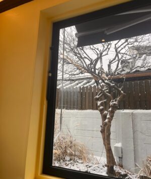Yun Yoo-sun Instagram - 덕분에 눈 내리는 창덕궁을 맘껏 누려 행복한 날이었오~~~ 
고마워💜💜
#눈나리는
#⛄️⛄️
#아름다운날