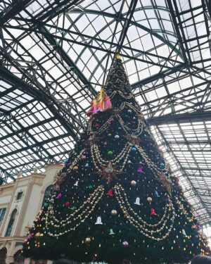 Yuuki Wakai Instagram - ディズニークリスマス🎄‎🤍
⁡
⁡
やっと！！40周年いけてハモカラ観れた！！
クラビもいい席で見れて！！幸せ！！
⁡
だいたいディズニー行く時は @akane_o8o 
⁡
いつもありがとう‎🤍
⁡
みんなも素敵なクリスマスイブを🎄
⁡
#ディズニークリスマス
#ディズニーランド
#merrychristmas