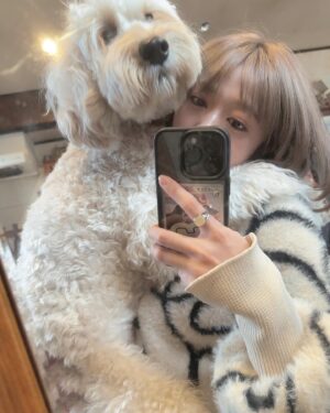 Yuuki Wakai Instagram - 年末年始はノアといっぱい遊べたー🐶
⁡
でっかい赤ちゃんなのでまだまだ元気すぎて大変だけど
本当に本当に世界一可愛いです😉
⁡
⁡
#australianlabradoodle #オーストラリアンラブラドゥードル
#ドゥードル