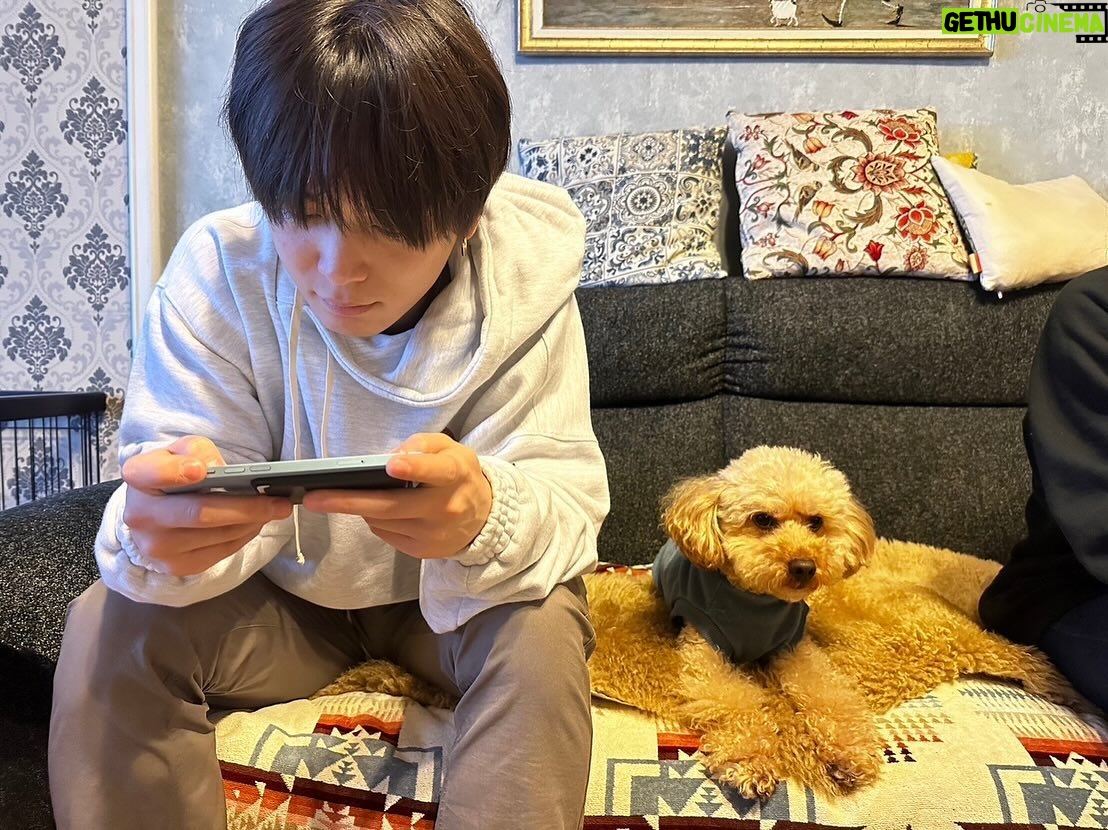 Yuuri - 47.3K Likes - 実家
@maxlukepoo
