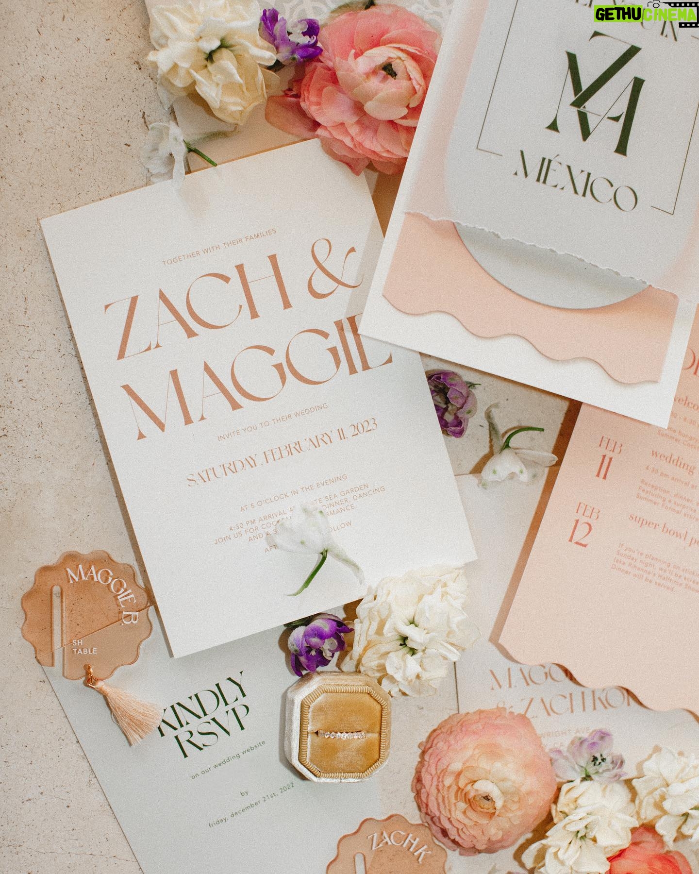 Zach Kornfeld - 256K Likes - We do 👰🏻♀️🤵🏻♂️
Our wedding video is officially out! Overjoyed to be able to relive & share this special day with you all. The biggest thank you to all our loving family, friends, and hardworking vendors who made it possible ✨💕🥹
Planning & Design: @array_creative_design @everydetailevents
Rentals: @ideandomx
Lighting: @lumica.mx
Photographer: @caramia
Videographers: @a.marvideo
Entertainment: @brasstracks
DJ: @mannyvarenn
Catering: @concepto.catering.mx
Paper goods: @velvetfoxdesigns