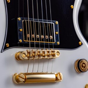Zacky Vengeance Instagram - Featuring Schecter USA Pasadena & Pasadena Classic pickups, @tonepros Tune-O-Matic bridge, and Satin Gold Hardware - The all new @zackyvengeance ZV-H6LLYW66D steals the spotlight. 

For more information and full specs, please visit www.schecterguitars.com