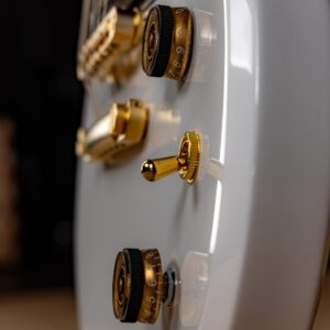 Zacky Vengeance Instagram - Featuring Schecter USA Pasadena & Pasadena Classic pickups, @tonepros Tune-O-Matic bridge, and Satin Gold Hardware - The all new @zackyvengeance ZV-H6LLYW66D steals the spotlight. 

For more information and full specs, please visit www.schecterguitars.com