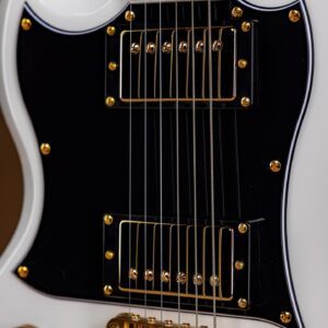 Zacky Vengeance Instagram - Featuring Schecter USA Pasadena & Pasadena Classic pickups with Volume/ Tone (Push-Pull)/ 3-Way Switch Controls, and Satin Gold Hardware - The all new @zackyvengeance ZV-H6LLYW66D LH steals the spotlight. 

For more information and full specs, please visit www.schecterguitars.com