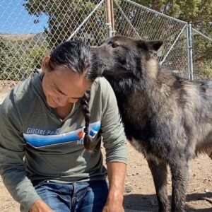 Zahn McClarnon Instagram - Had a good wonderful day hanging out with these beautiful creatures @uswolfrefuge thank you @amandabenfield74 if you feel like helping out you can donate at www.uswolfrefuge.org #loki #thunder