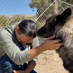 Zahn McClarnon Instagram - Had a good wonderful day hanging out with these beautiful creatures @uswolfrefuge thank you @amandabenfield74 if you feel like helping out you can donate at www.uswolfrefuge.org #loki #thunder