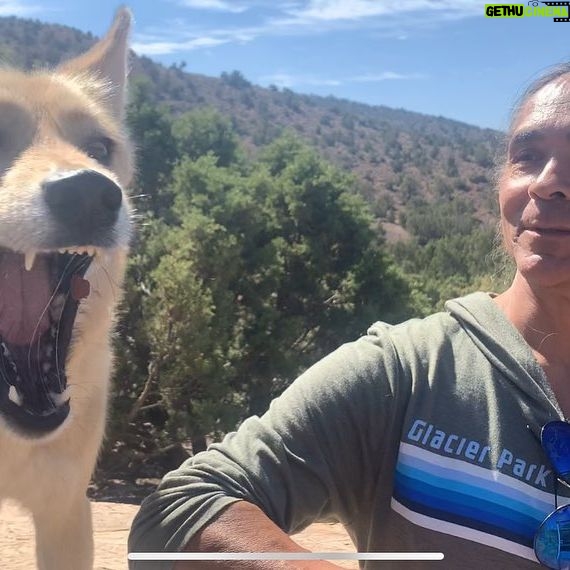 Zahn McClarnon - 12.1K Likes - Had a good wonderful day hanging out with these beautiful creatures @uswolfrefuge thank you @amandabenfield74 if you feel like helping out you can donate at www.uswolfrefuge.org #loki #thunder