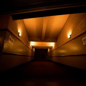 Zak Bagans Instagram - I HAVE WAITED impatiently for you all to see my favorite investigation of the season. We capture something absolutely incredible here. This island has many doorways and needs further research. The 12-story building we focus on is very unusual and is the epicenter for manifestations. “Curse of Catalina Island” NEW #GhostAdventures Thursday 10/9c @travelchannel stream @discoveryplus