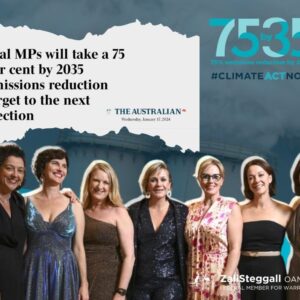 Zali Stegall Instagram - Our constituents want real action on climate change NOW. It’s time to take the lead on a national front. Australia needs to increase its ambitions, I’m calling for the Albanese Govt to commit to a target of at least 75% emissions reduction by 2035.

Visit climateactnow.com.au today, and see how you can get on board.

Link to article in stories!

#ClimateActNow #75by35 #EmissionsReduction #Independents #LeadingTheCharge