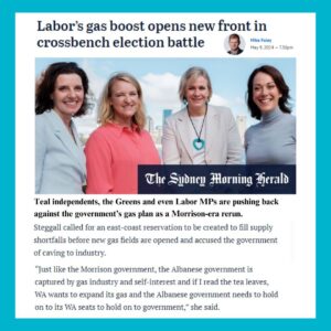 Zali Stegall Instagram - Just like the Morrison govt, the Albanese govt is captured by the gas industry & self-interest, prioritising Big Gas profits over Aust’s (and the planet's) future wellbeing. Swapping out one fossil fuel for another won’t successfully get us to Net Zero #auspol
