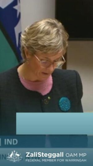 Zali Stegall Instagram - Australia's international competitiveness in green industries is crucial. The Future Made in Australia plan is a good start, but more needs to be done. It’s important to also expand support for workers, SMEs, and electrification, ensuring a just transition and seizing opportunities for all Australians in the race to net zero. 
#GreenEconomy #smallbusinesss #SME #smallbiz