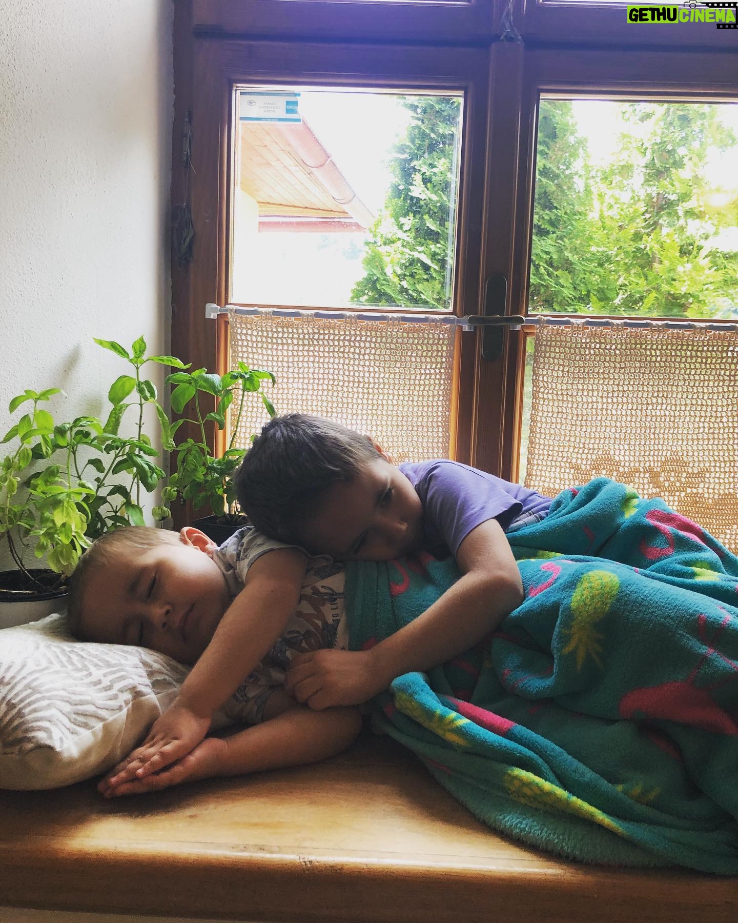 Zdenka Predná - 1.4K Likes - 💚💚 brothers💚💚
#spanokNaParapete
#detstvo
#idemsidopitstudenukavuakakjunajdem