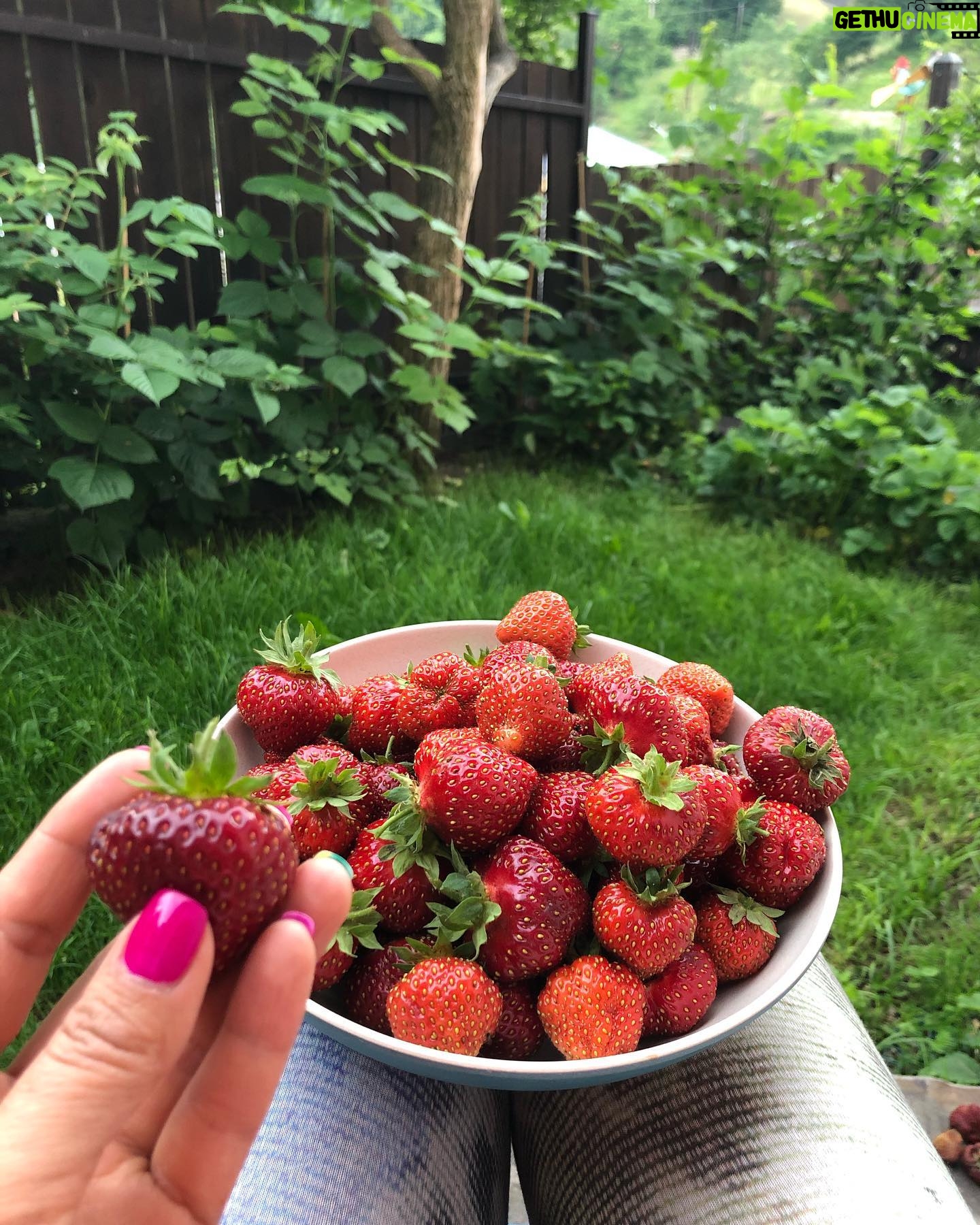 Zdenka Predná - 691 Likes - 🍓🍓🍓🍓💦