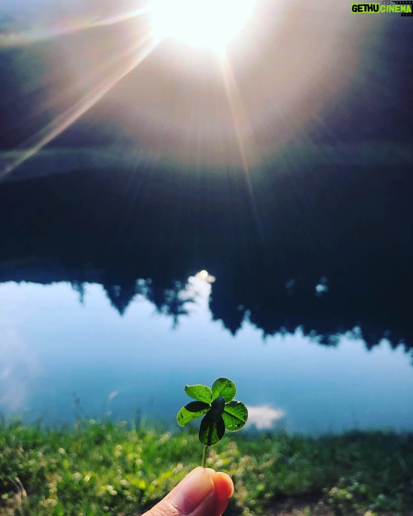 Zdenka Predná - 817 Likes - 🌱🤍🧘🏻